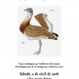 SABADO 2 de abril de 2016. A las 10:00 horas Nuevo paseo pajarero: iremos a observar a las avutardas y otra aves mesetarias. La avutarda y otras aves esteparias (sisón, […]